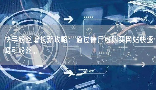 快手粉丝增长新攻略:通过僵尸粉购买网站快速吸引粉丝。