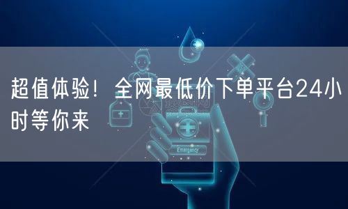 超值体验!全网最低价下单平台24小时等你来