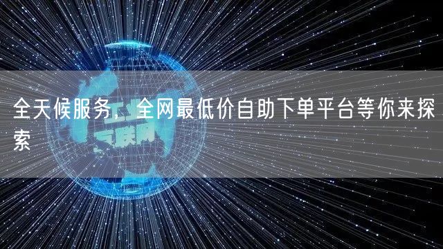 全天候服务，全网最低价自助下单平台等你来探索