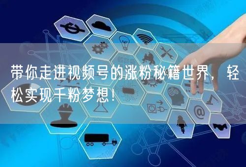 带你走进视频号的涨粉秘籍世界,轻松实现千粉梦想!