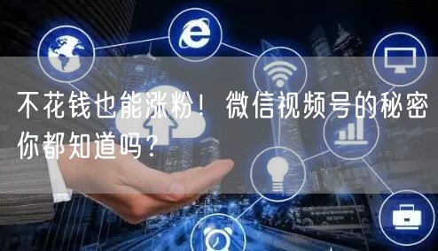 不花钱也能涨粉！微信视频号的秘密你都知道吗？