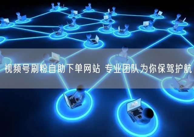 视频号刷粉自助下单网站 专业团队为你保驾护航