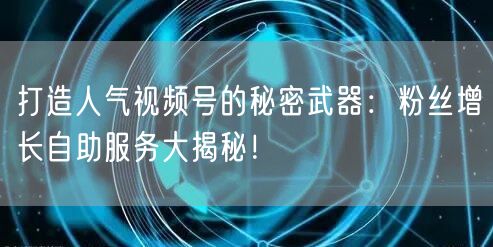 打造人气视频号的秘密武器:粉丝增长自助服务大揭秘!